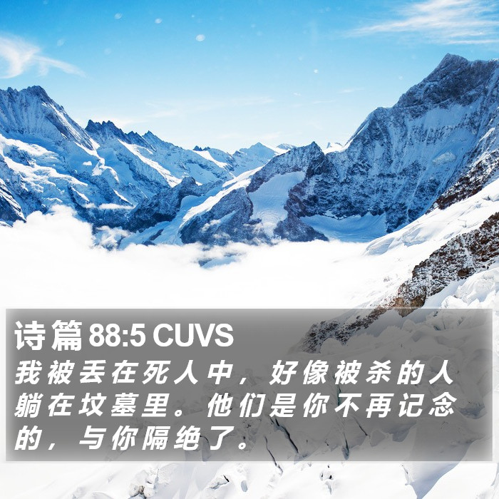 诗 篇 88:5 CUVS Bible Study