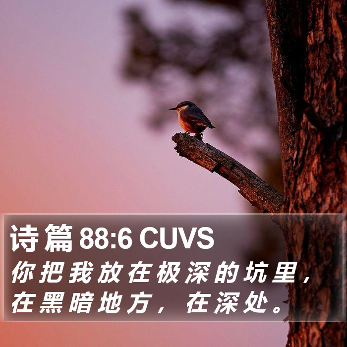 诗 篇 88:6 CUVS Bible Study