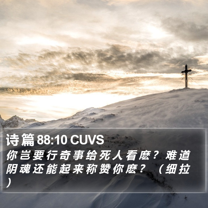 诗 篇 88:10 CUVS Bible Study