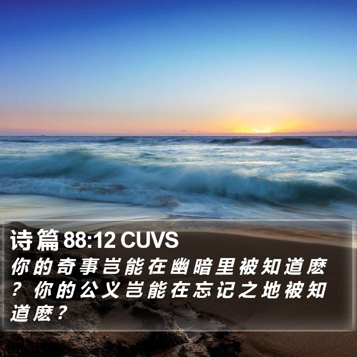 诗 篇 88:12 CUVS Bible Study