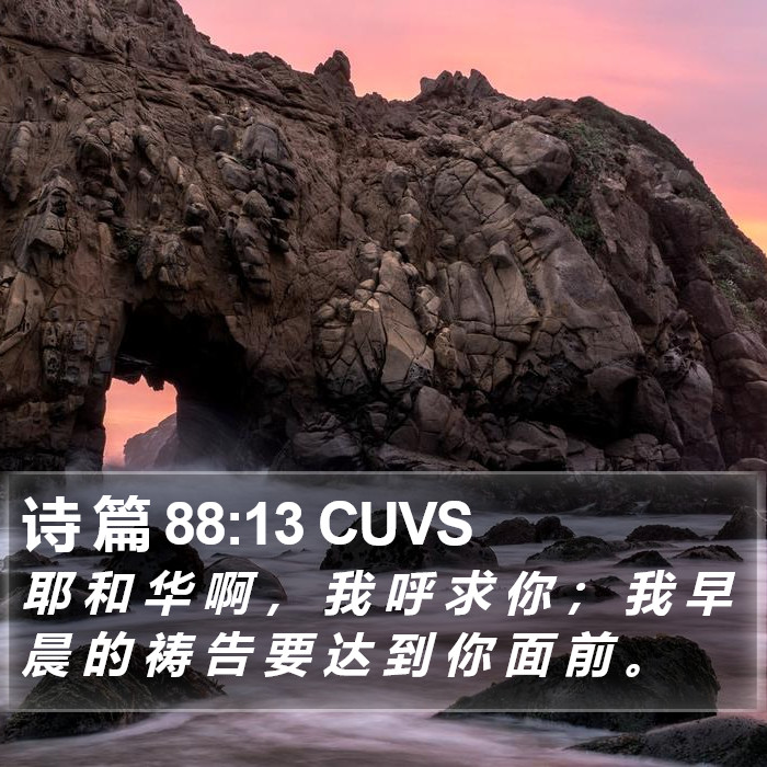 诗 篇 88:13 CUVS Bible Study