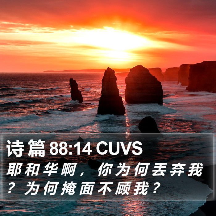 诗 篇 88:14 CUVS Bible Study