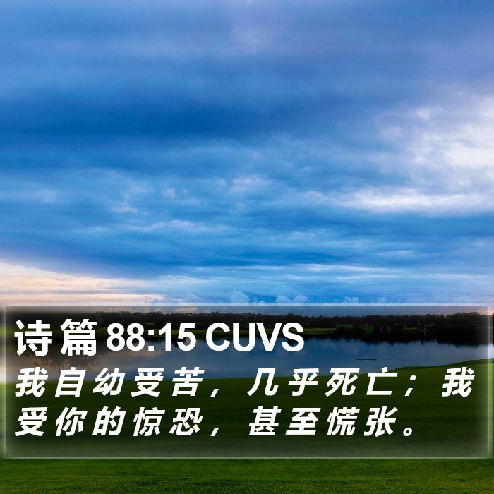 诗 篇 88:15 CUVS Bible Study