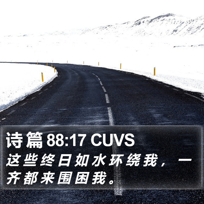 诗 篇 88:17 CUVS Bible Study