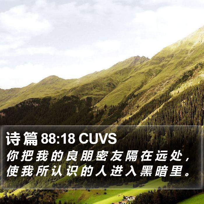 诗 篇 88:18 CUVS Bible Study