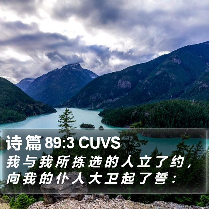诗 篇 89:3 CUVS Bible Study