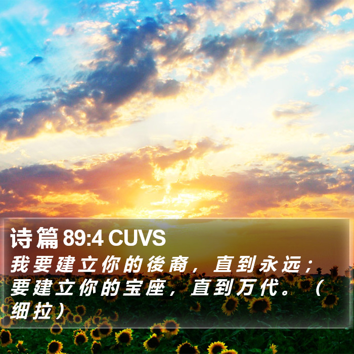 诗 篇 89:4 CUVS Bible Study