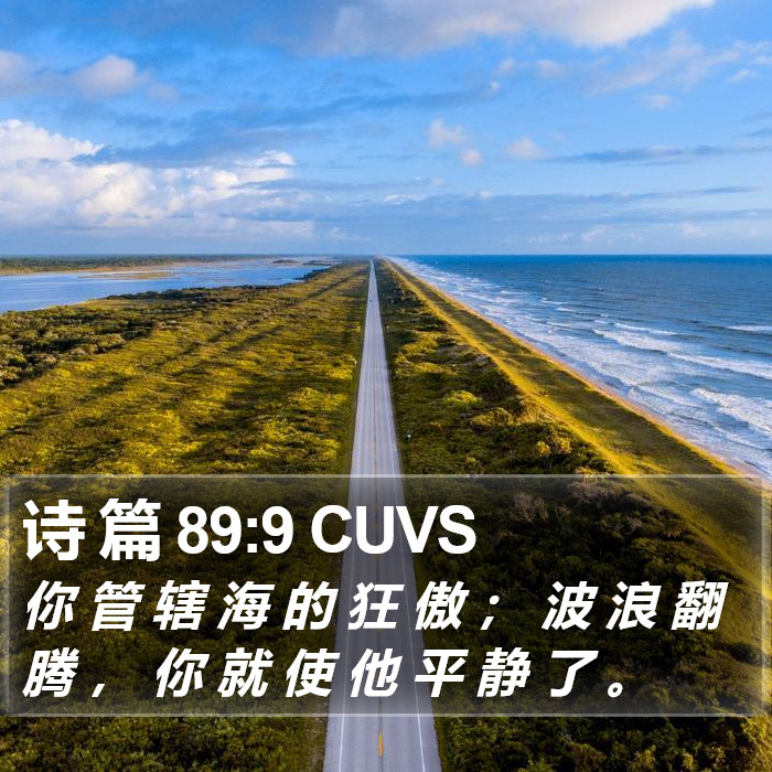 诗 篇 89:9 CUVS Bible Study