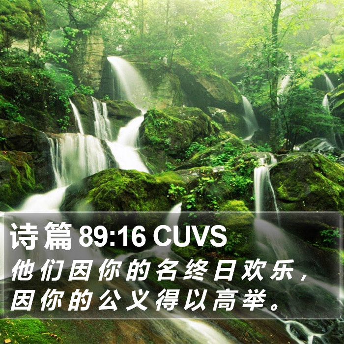 诗 篇 89:16 CUVS Bible Study