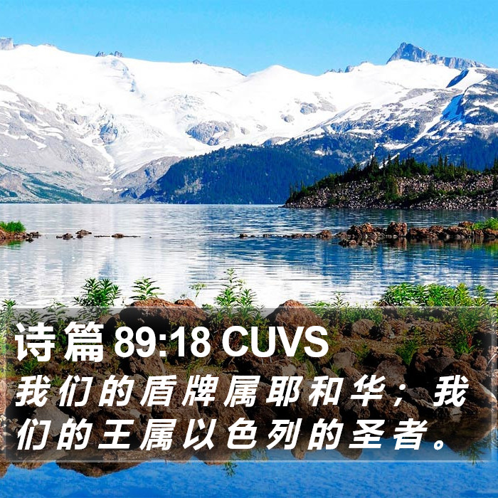 诗 篇 89:18 CUVS Bible Study