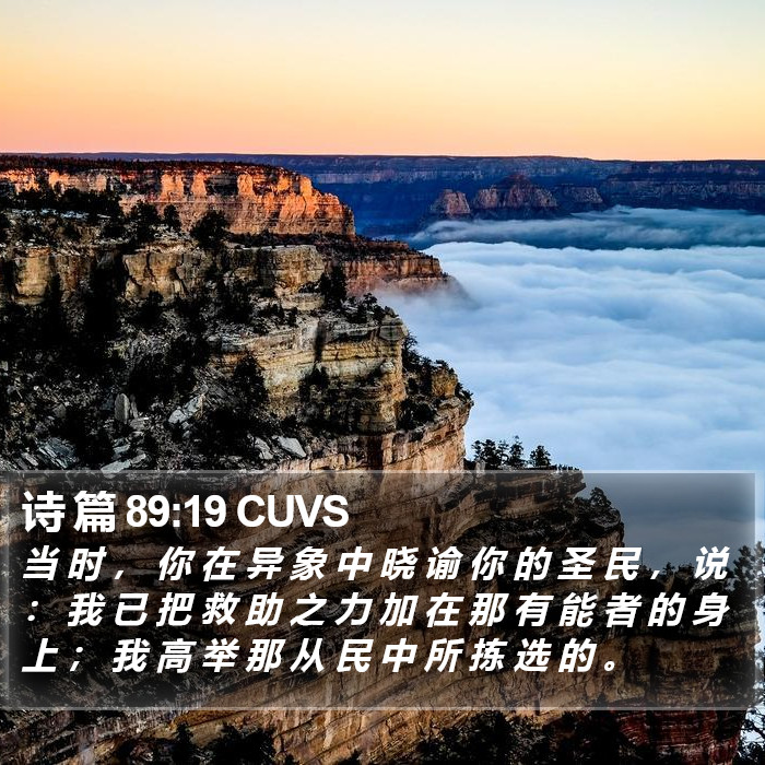 诗 篇 89:19 CUVS Bible Study