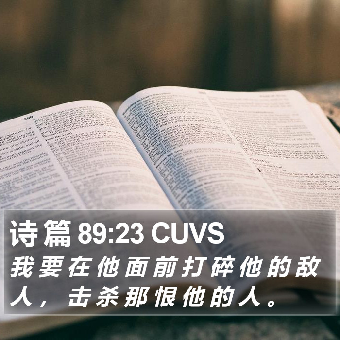 诗 篇 89:23 CUVS Bible Study