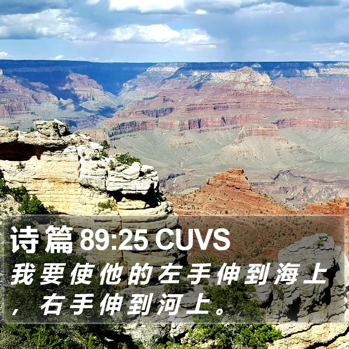诗 篇 89:25 CUVS Bible Study