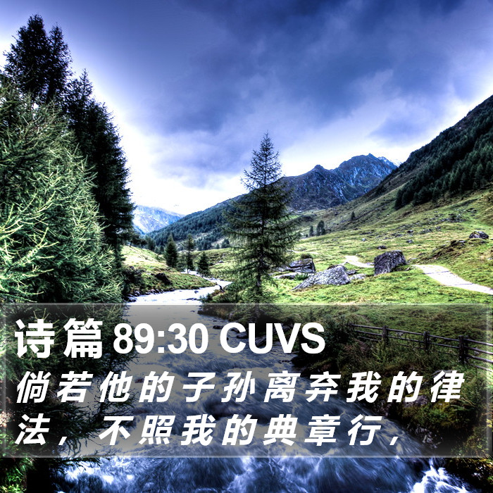 诗 篇 89:30 CUVS Bible Study