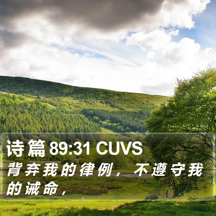 诗 篇 89:31 CUVS Bible Study