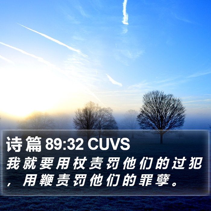 诗 篇 89:32 CUVS Bible Study