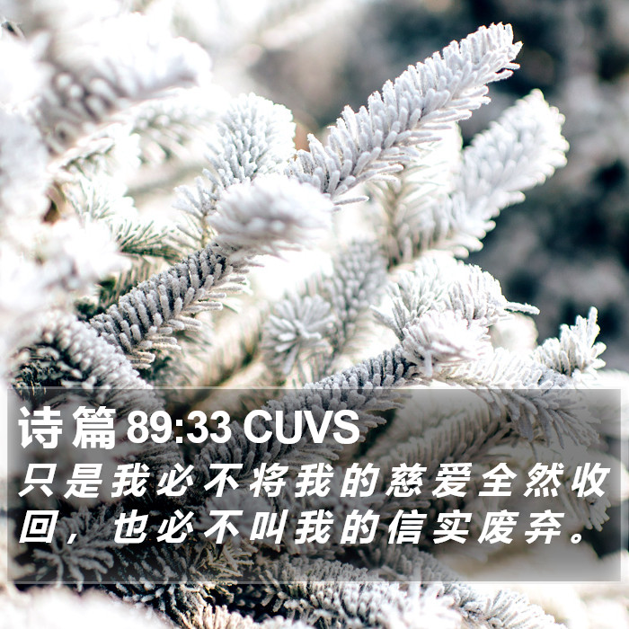 诗 篇 89:33 CUVS Bible Study
