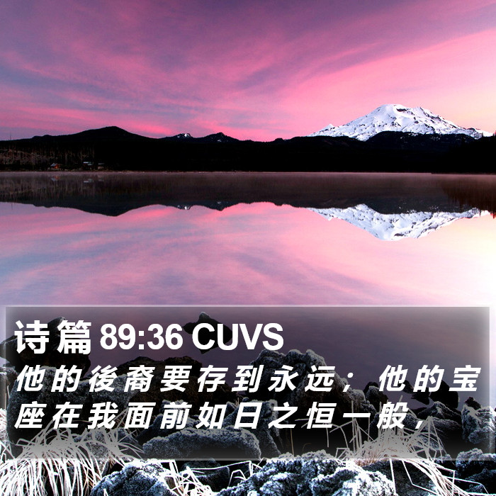 诗 篇 89:36 CUVS Bible Study