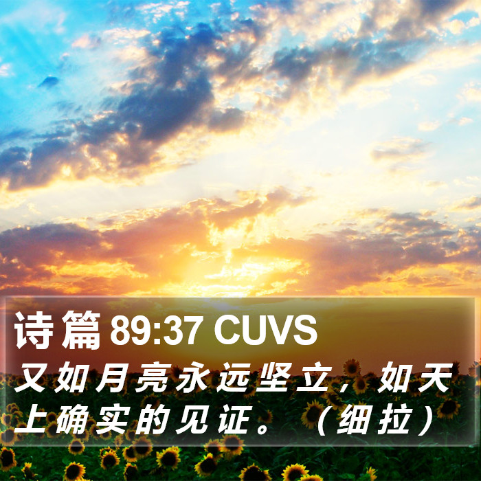 诗 篇 89:37 CUVS Bible Study