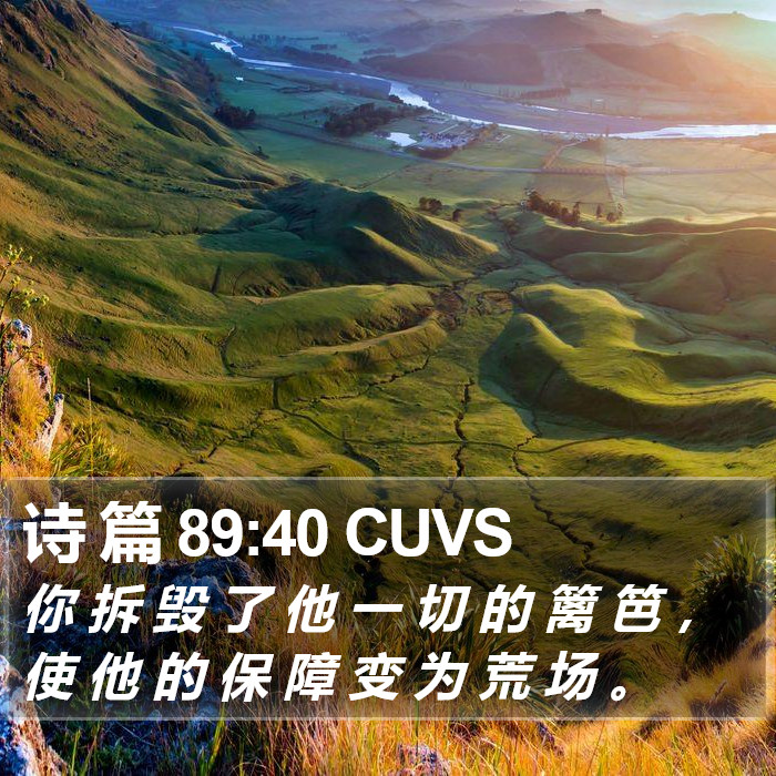 诗 篇 89:40 CUVS Bible Study