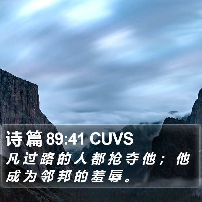 诗 篇 89:41 CUVS Bible Study
