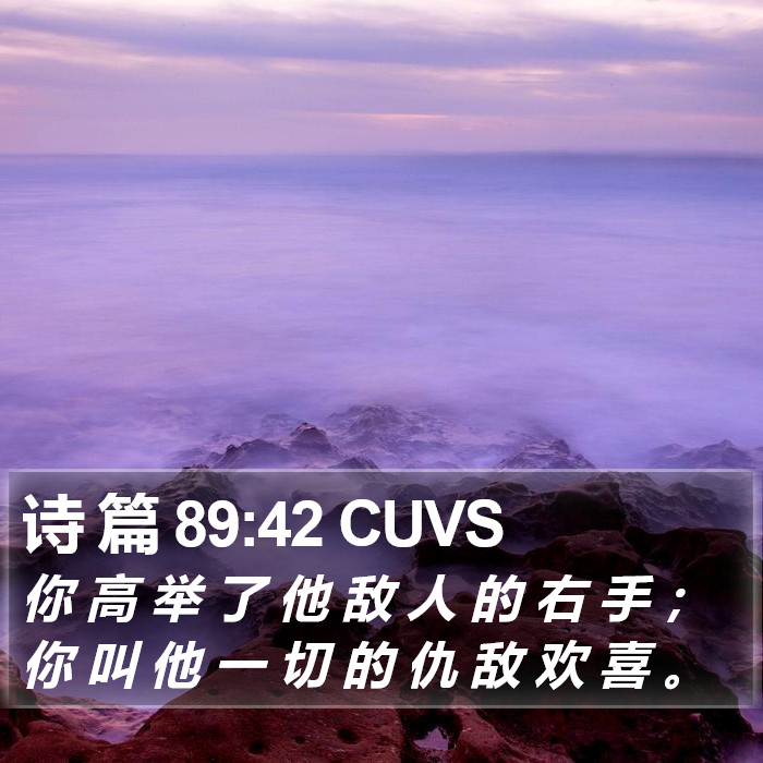 诗 篇 89:42 CUVS Bible Study