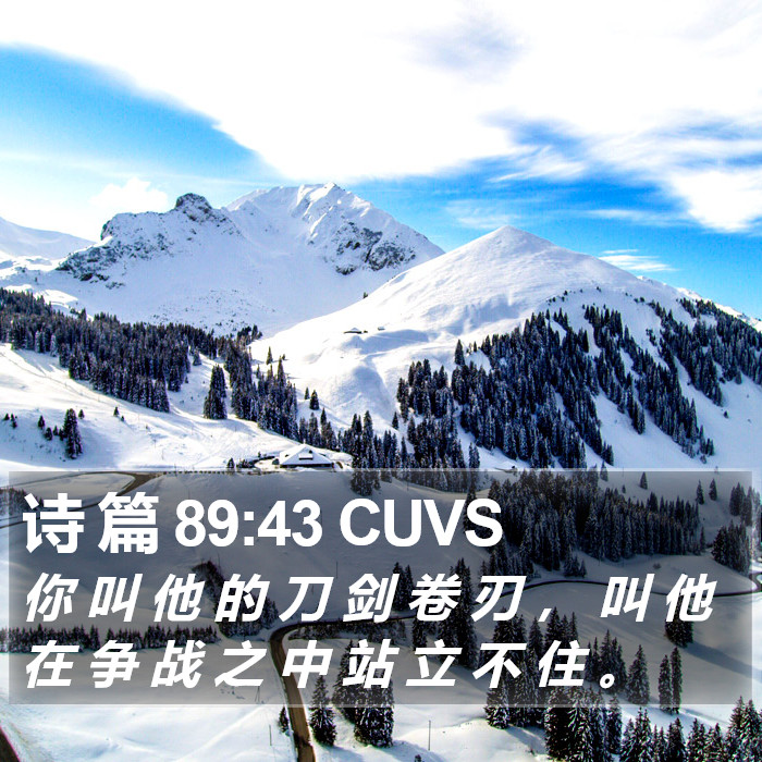 诗 篇 89:43 CUVS Bible Study