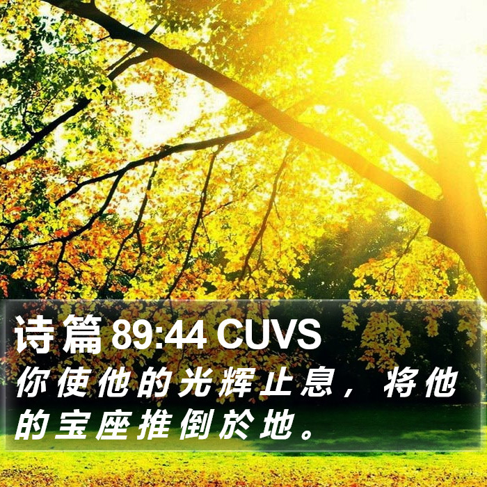 诗 篇 89:44 CUVS Bible Study