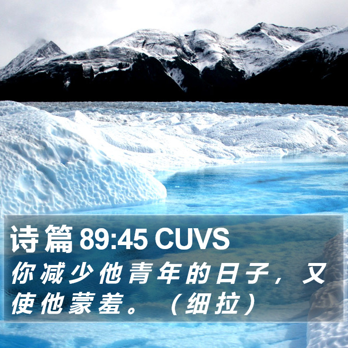 诗 篇 89:45 CUVS Bible Study