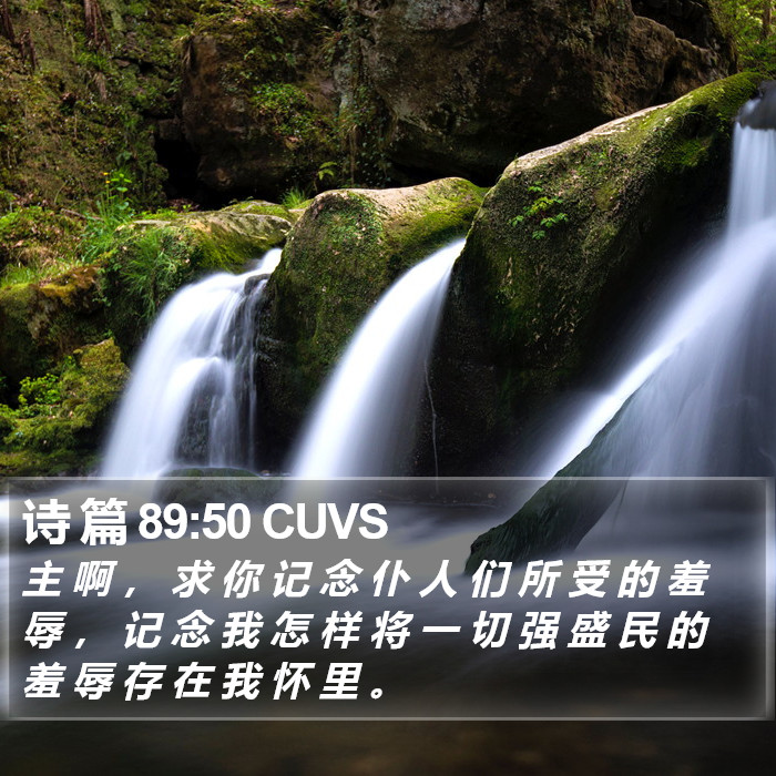诗 篇 89:50 CUVS Bible Study