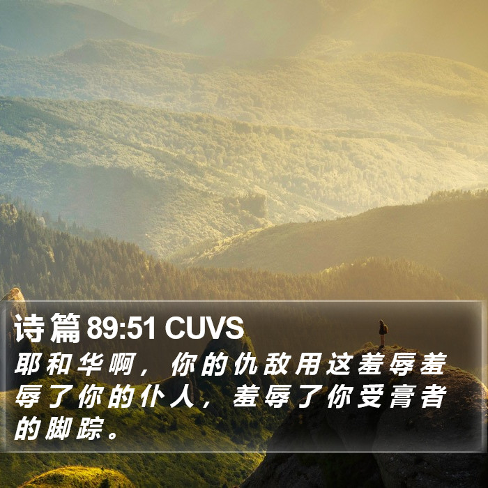 诗 篇 89:51 CUVS Bible Study