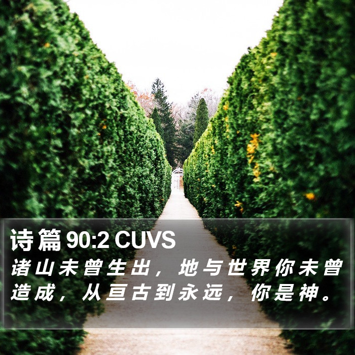 诗 篇 90:2 CUVS Bible Study