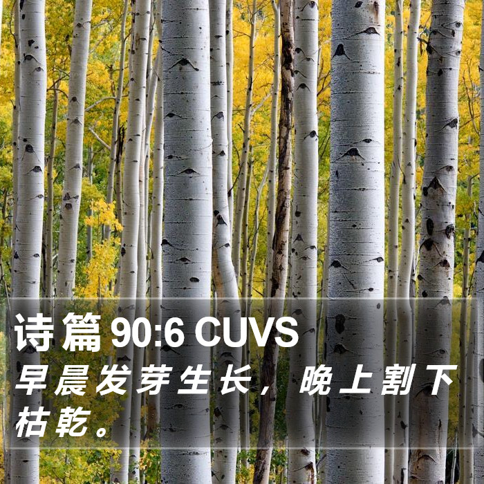 诗 篇 90:6 CUVS Bible Study