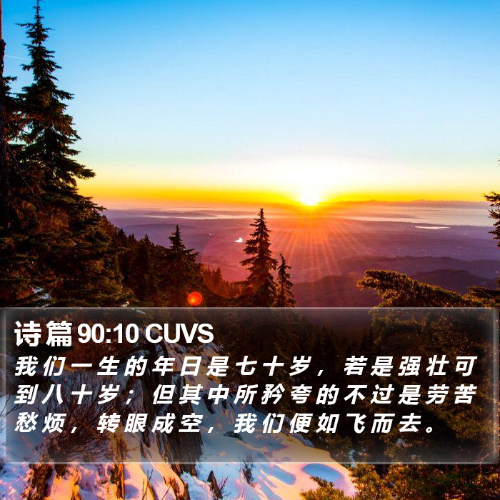 诗 篇 90:10 CUVS Bible Study