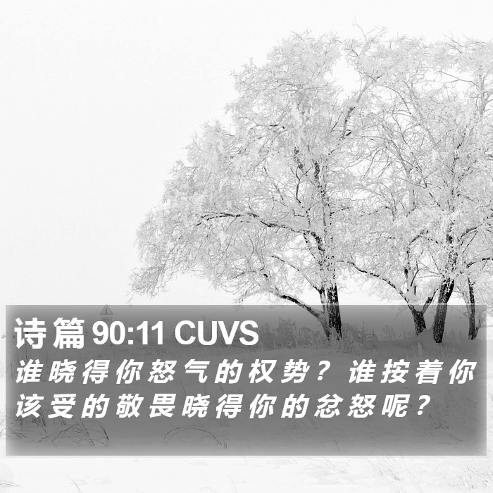 诗 篇 90:11 CUVS Bible Study