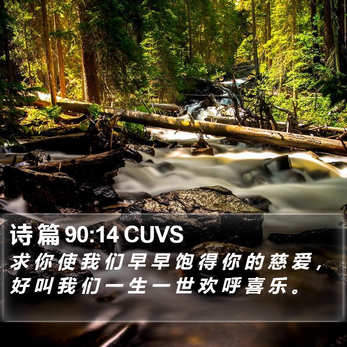 诗 篇 90:14 CUVS Bible Study