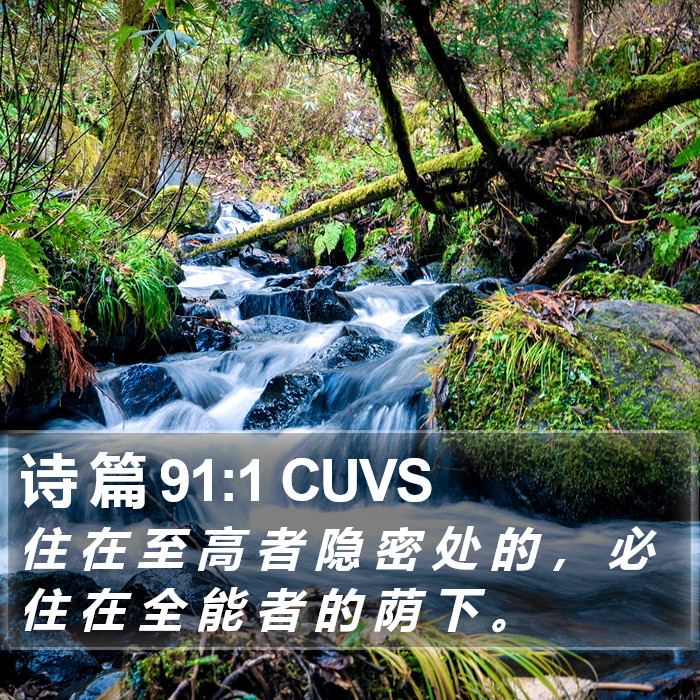 诗 篇 91:1 CUVS Bible Study