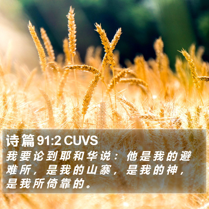 诗 篇 91:2 CUVS Bible Study