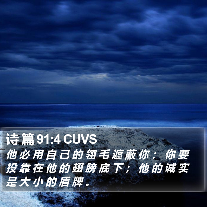 诗 篇 91:4 CUVS Bible Study