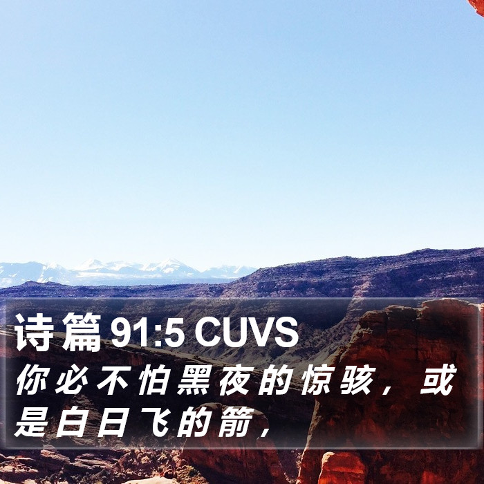 诗 篇 91:5 CUVS Bible Study