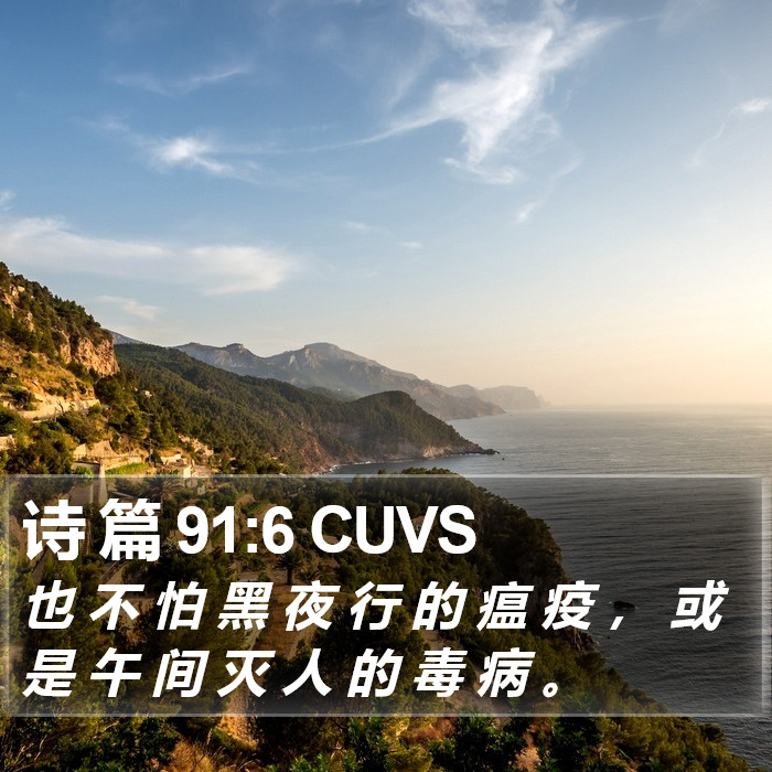 诗 篇 91:6 CUVS Bible Study