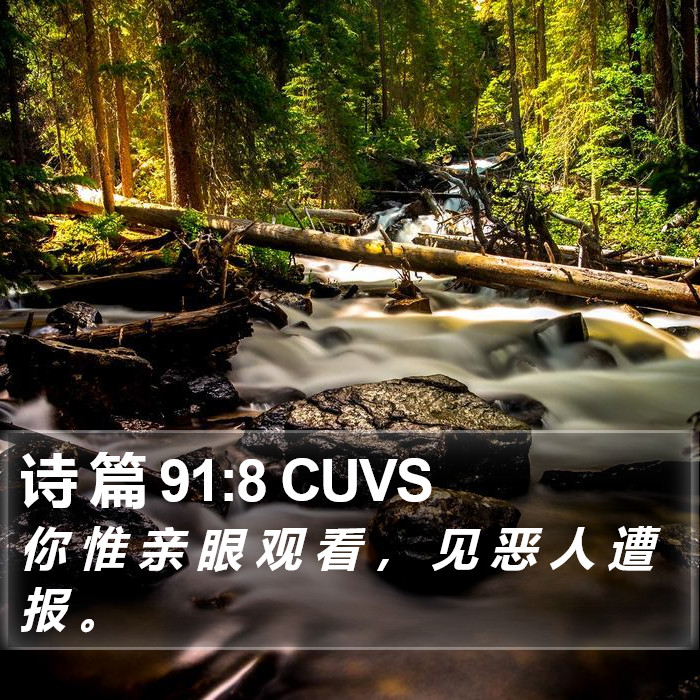 诗 篇 91:8 CUVS Bible Study