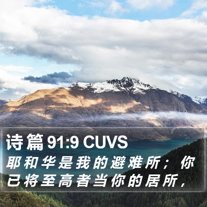 诗 篇 91:9 CUVS Bible Study