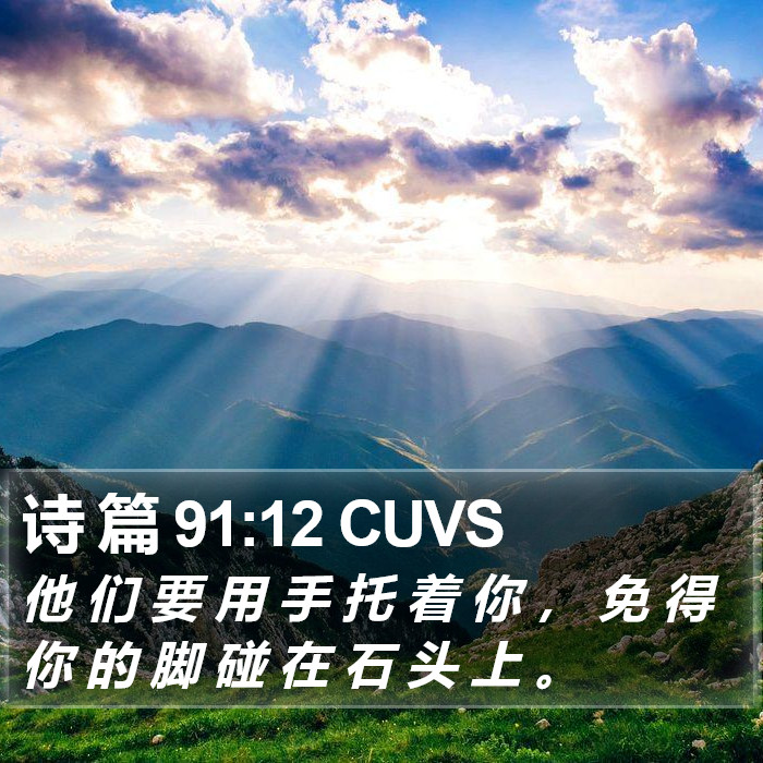 诗 篇 91:12 CUVS Bible Study