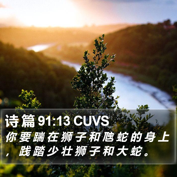 诗 篇 91:13 CUVS Bible Study