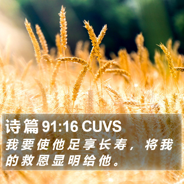 诗 篇 91:16 CUVS Bible Study