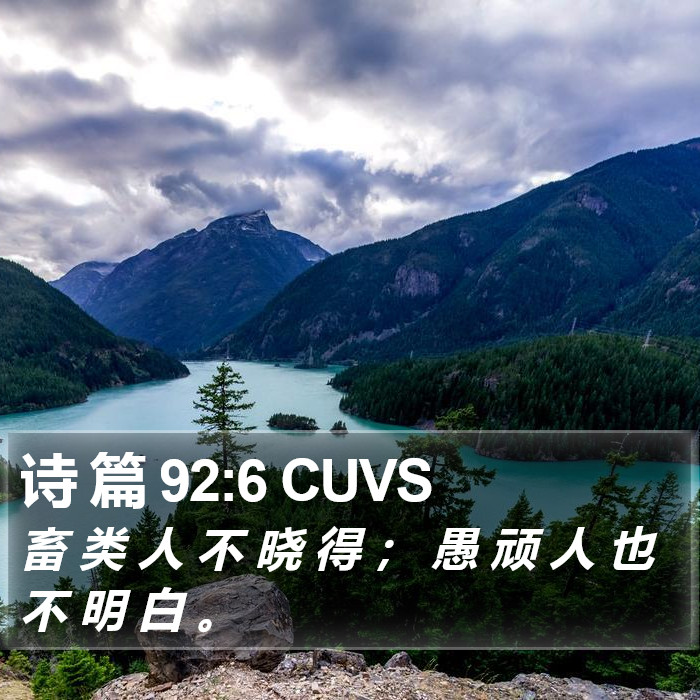 诗 篇 92:6 CUVS Bible Study