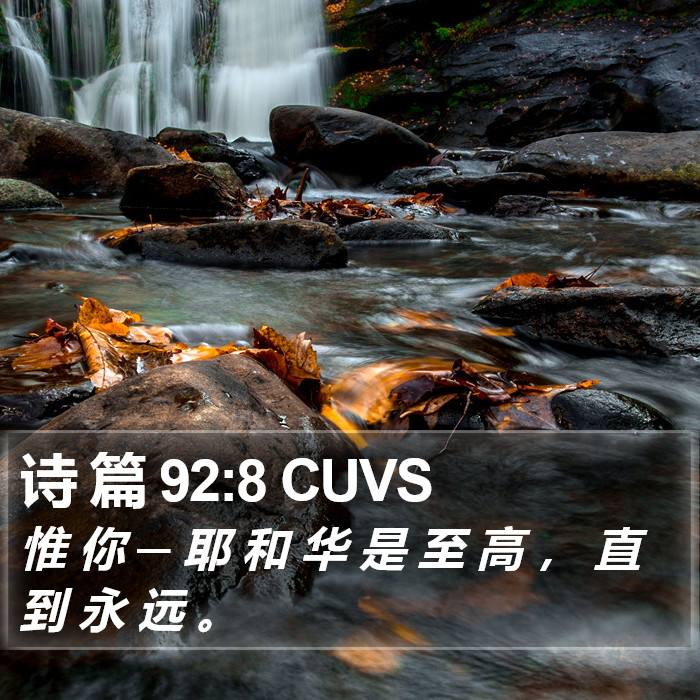 诗 篇 92:8 CUVS Bible Study