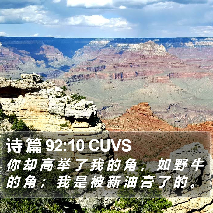诗 篇 92:10 CUVS Bible Study