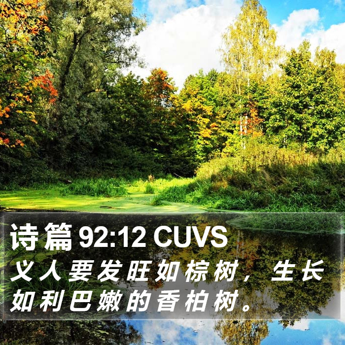 诗 篇 92:12 CUVS Bible Study